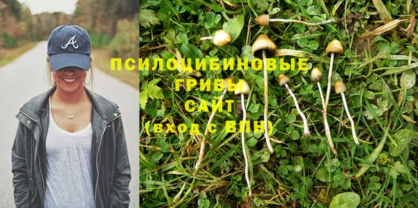 mdma Медногорск