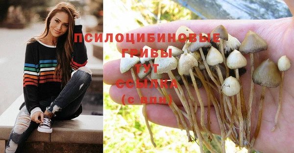 твердый Медвежьегорск
