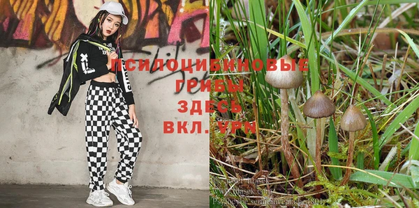 spice Мегион
