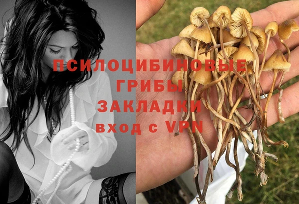 молекула духа Апатиты