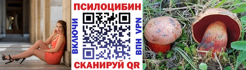 Купить Дюртюли Псилоцибиновые грибы GOLDEN TEACHER